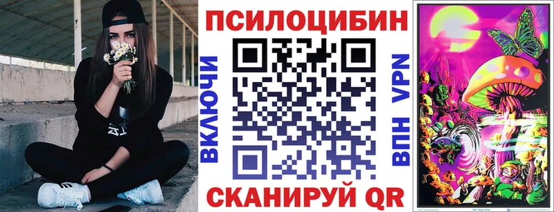 где найти наркотики  Кемерово  Галлюциногенные грибы Psilocybine cubensis 